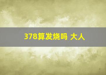 378算发烧吗 大人